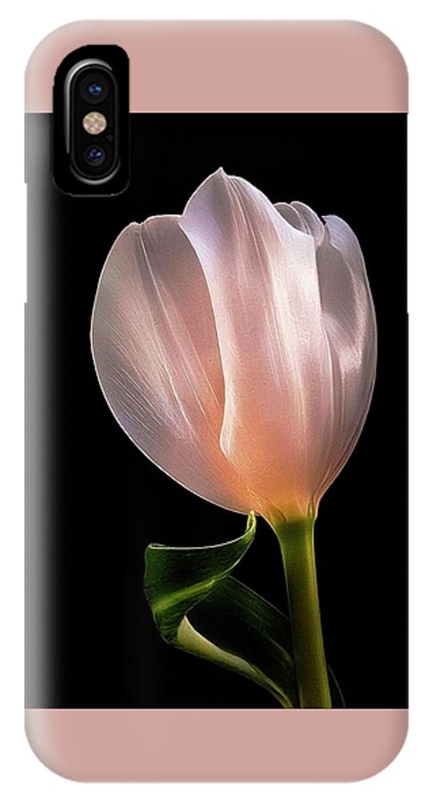 Tulip iPhone X Case featuring the photograph Tulip in LIght by Phyllis Meinke