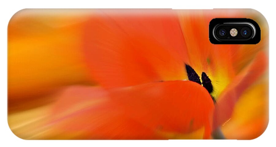 Tulip In Motion iPhone X Case featuring the photograph Tulip In Motion by Kathy M Krause