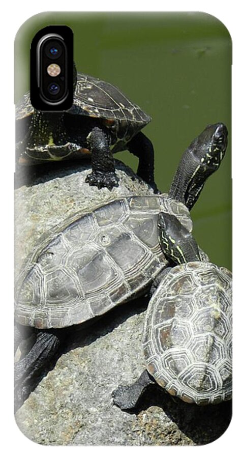 Turtles iPhone X Case featuring the photograph Turtles at a temple in Narita, Japan by Breck Bartholomew