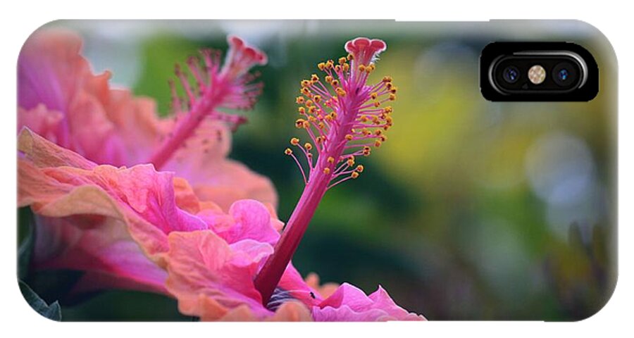 Hibiscus iPhone X Case featuring the photograph Two Hibiscus by Lori Seaman