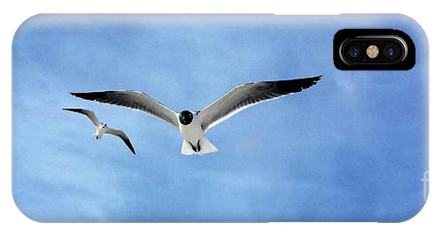 Nature iPhone X Case featuring the photograph Two Seagulls Against a Blue Sky by Jeanne Forsythe