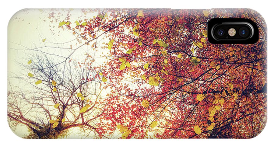 Autumn iPhone X Case featuring the photograph Under An Autumn Sky by No Alphabet