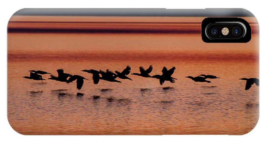 Water iPhone X Case featuring the photograph Under the Radar by William Norton