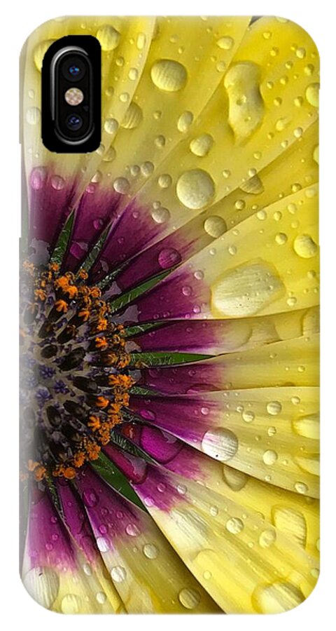Drops iPhone X Case featuring the photograph Daisy Up Close by Brian Eberly