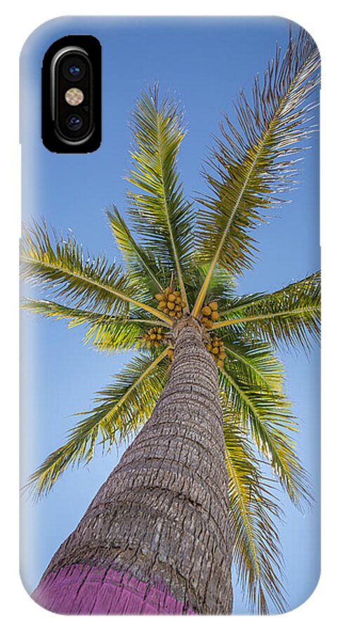 Florida iPhone X Case featuring the photograph Up by Paul Schultz