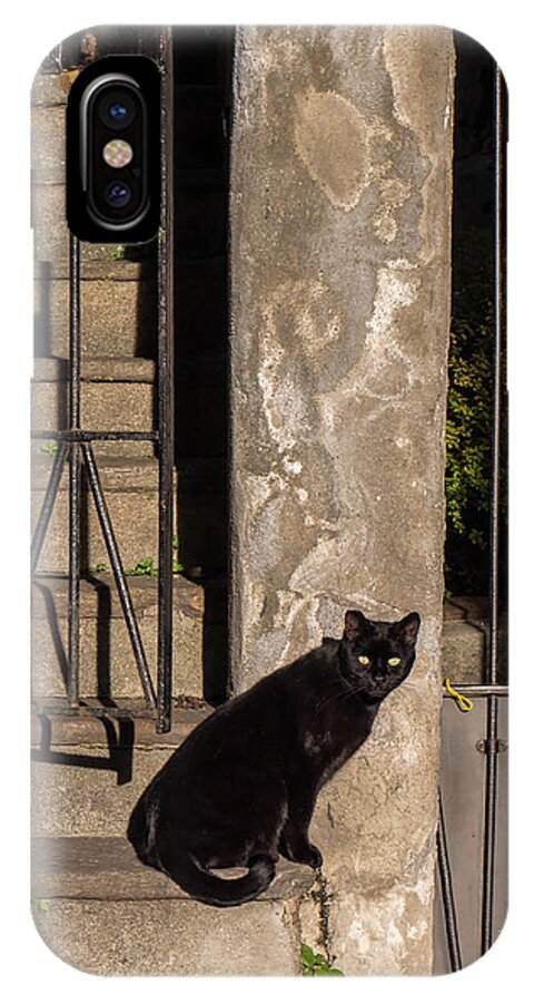 Cat iPhone X Case featuring the photograph Urban Cat by Mark Dahmke