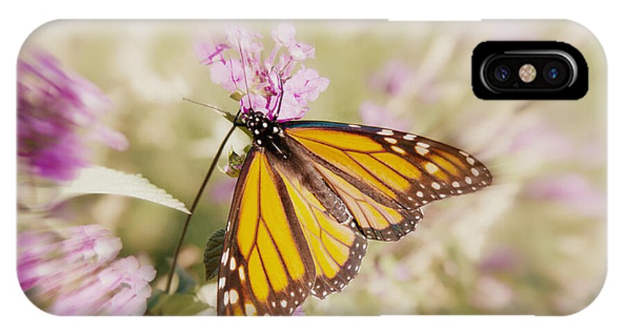 Butterfly iPhone X Case featuring the photograph Vanishing Species 3 by Chris Scroggins