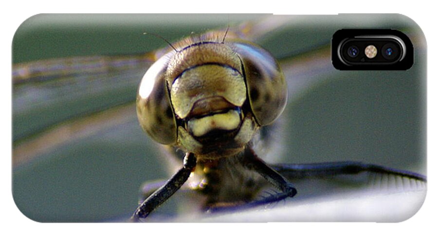 Spokane iPhone X Case featuring the photograph Vince the Dragonfly by Ben Upham III