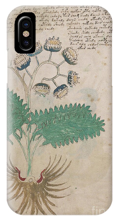 Plant iPhone X Case featuring the drawing Voynich flora 14 by Rick Bures