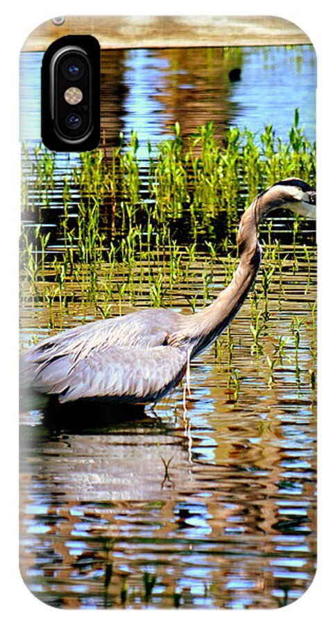 Heron iPhone X Case featuring the photograph Waiting For Dinner by Lisa Wooten