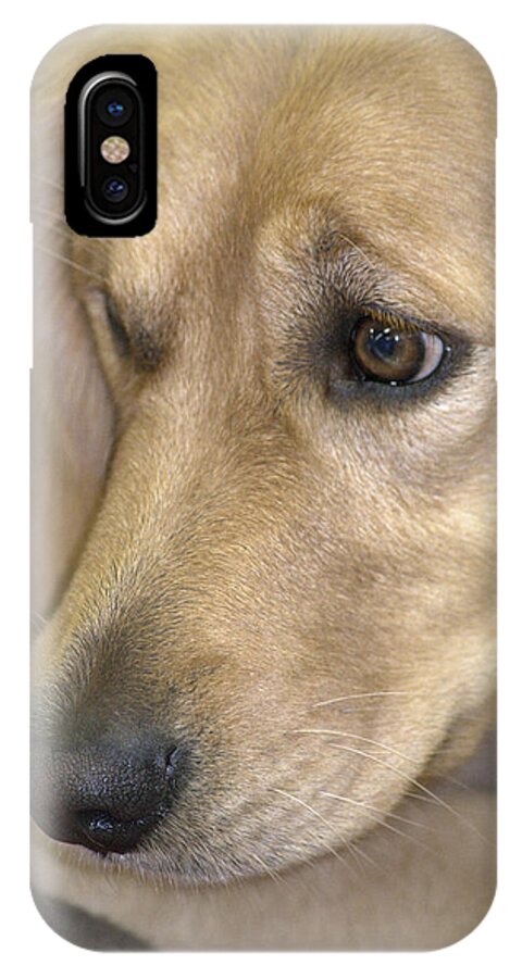 Dog iPhone X Case featuring the photograph Waiting for You by Lori Seaman