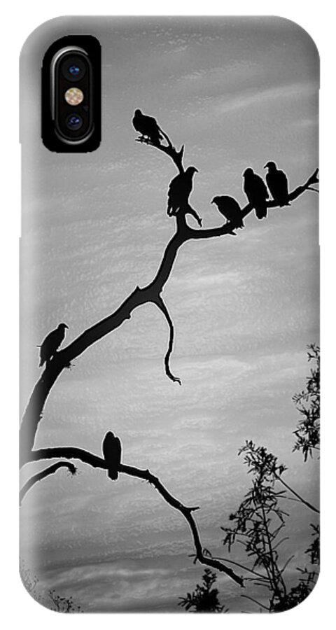 Vultures iPhone X Case featuring the photograph Waiting by Robert Meanor