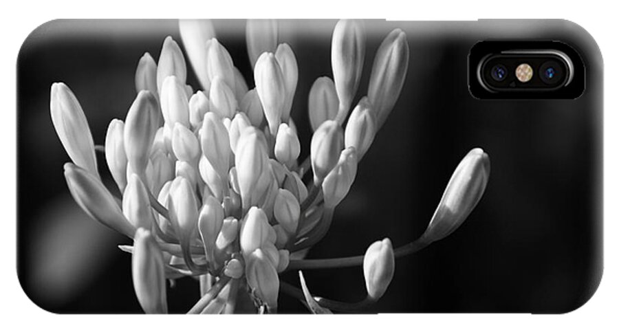 Floral iPhone X Case featuring the photograph Waiting To Blossom Into Beauty - bw by Linda Shafer