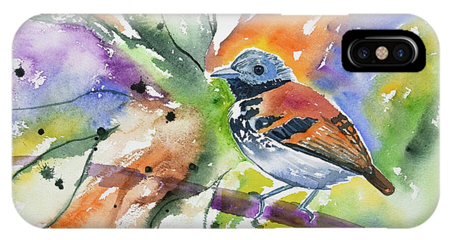 Spotted Antbird iPhone X Case featuring the painting Watercolor - Spotted Antbird by Cascade Colors