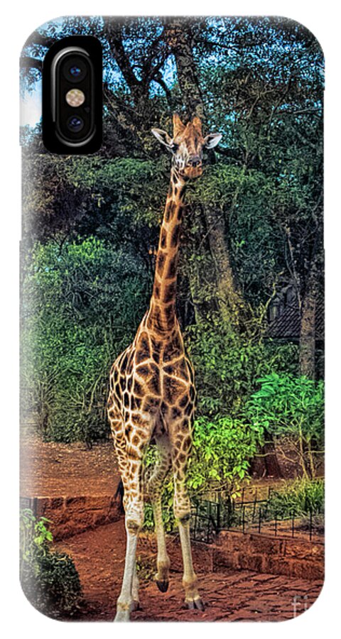 Giraffe iPhone X Case featuring the photograph Welcome to Giraffe Manor by Karen Lewis