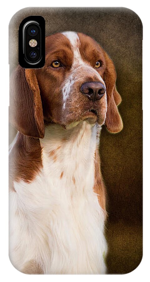 Welsh Springer Spaniel iPhone X Case featuring the photograph Welsh Springer Spaniel by Diana Andersen
