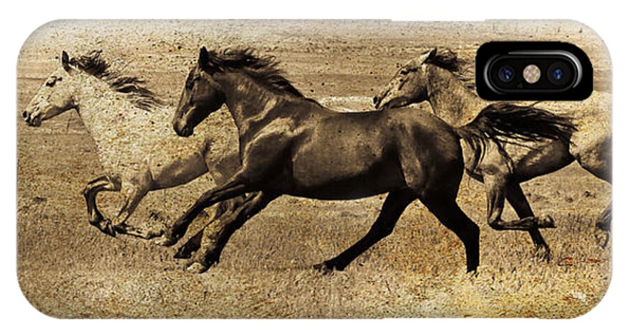 Horse Art iPhone X Case featuring the photograph Western Flair by Steve McKinzie