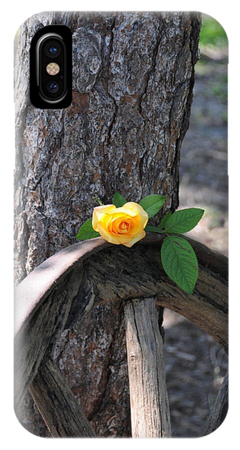 Rose iPhone X Case featuring the photograph Western Yellow Rose by Jody Lovejoy