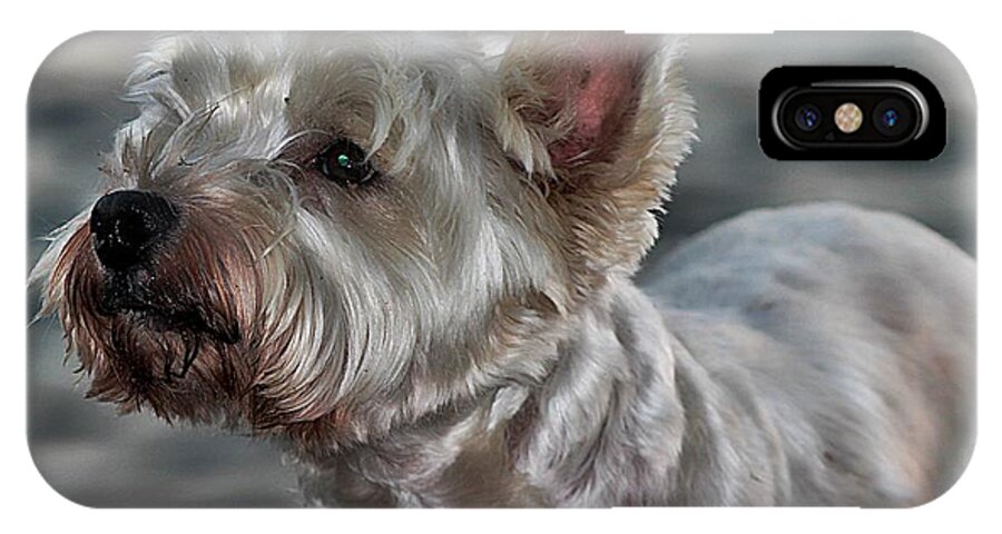 Dog iPhone X Case featuring the photograph Westie Love by Clare Bevan
