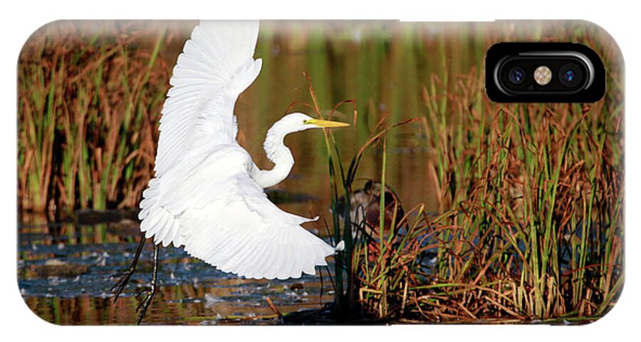 Egret iPhone X Case featuring the photograph Wetland Landing by Ray Congrove