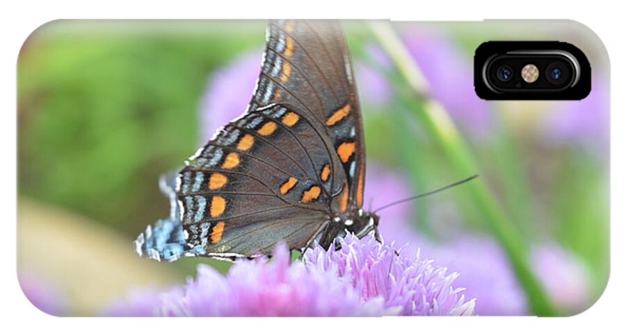 Butterflies iPhone X Case featuring the photograph What a Beauty by Rebecca Mento