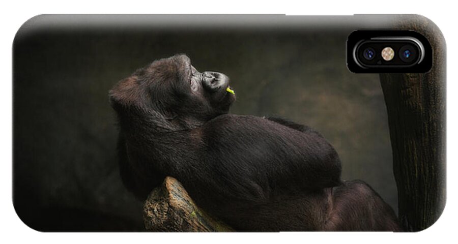 Gorilla iPhone X Case featuring the photograph What next? by Francisco Carlos
