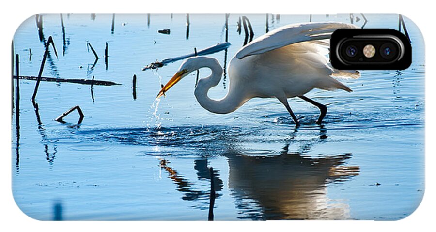 Bird iPhone X Case featuring the photograph White Egret At Horicon Marsh Wisconsin by Steve Gadomski