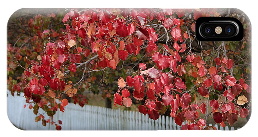 Red Leaves iPhone X Case featuring the photograph White Fence by Luv Photography