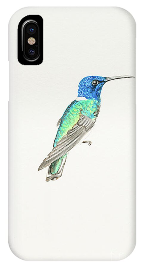 White Necked Jacobin iPhone X Case featuring the painting White-necked jacobin by Stefanie Forck