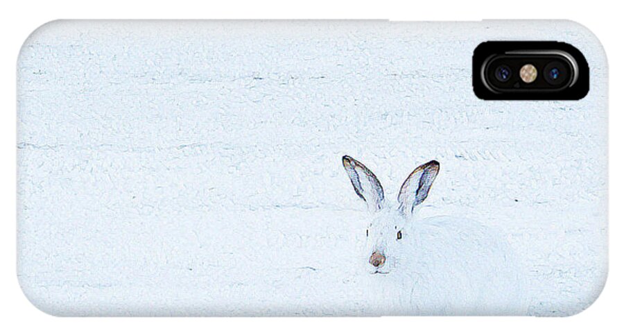 #jackrabbit #outdoors #white-tailed #jackrabbit #hare #artprint #photograph #alberta iPhone X Case featuring the photograph White-tailed Jack Rabbit by Jacquelinemari