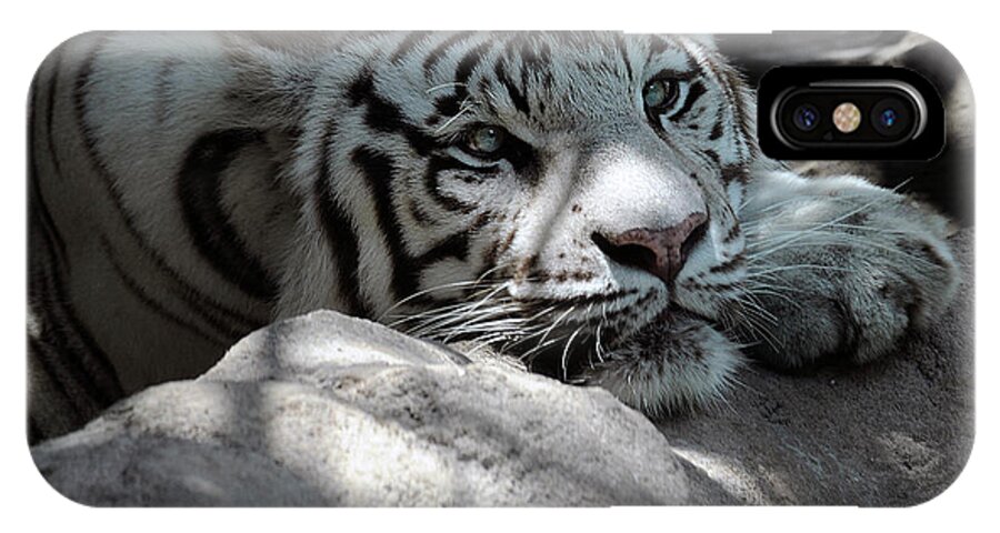 Tiger iPhone X Case featuring the photograph White Tiger Contiplation by Keith Lovejoy