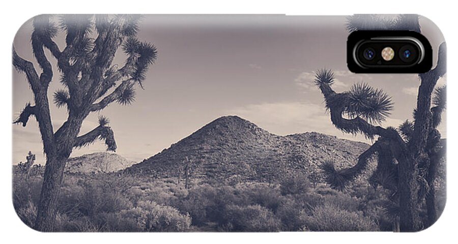 Joshua Tree National Park iPhone X Case featuring the photograph Who We Used to Be by Laurie Search