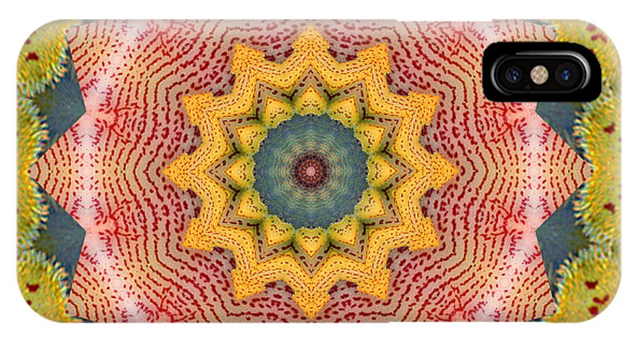 Mandalas iPhone X Case featuring the photograph Wholeness by Bell And Todd
