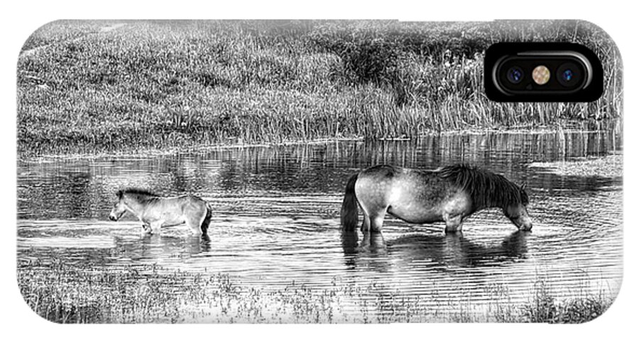 Nature iPhone X Case featuring the photograph Wild Horses BW2 by Ingrid Dendievel