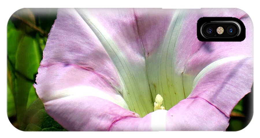 Wild Morning Glory iPhone X Case featuring the photograph Wild Morning Glory by Eric Switzer