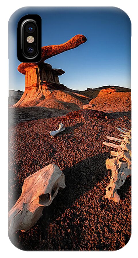 Amaizing iPhone X Case featuring the photograph Wild Wild West by Edgars Erglis