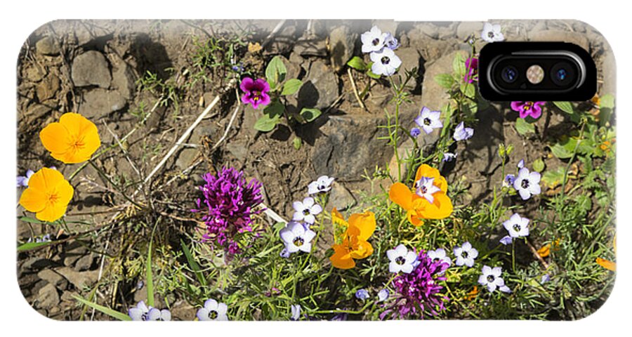 Wildflowers iPhone X Case featuring the photograph Wildflowers At Table Mountain by Frank Wilson