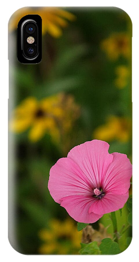 Flowers iPhone X Case featuring the photograph Wildflowers by Dorothy Lee