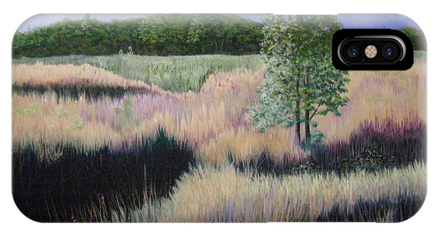 Landscape iPhone X Case featuring the painting Willamette Evening Shadows by Lynn Quinn
