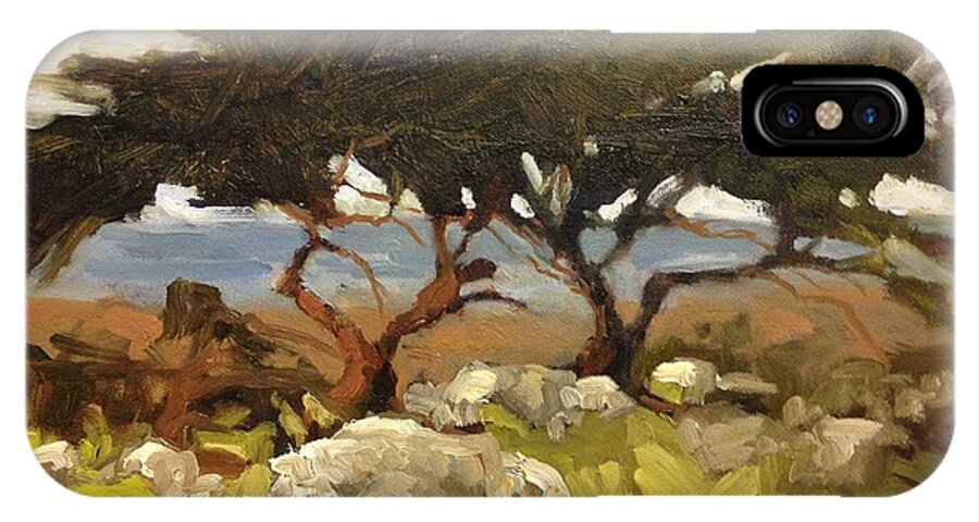 Coast Scenes iPhone X Case featuring the painting Wind Blown by Mary Scott
