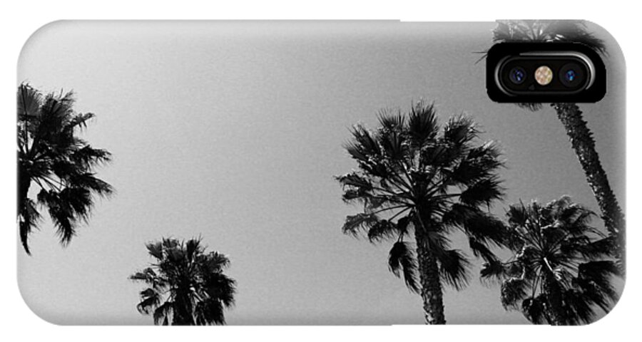 Palm Trees iPhone X Case featuring the photograph Wind In The Palms- by Linda Woods by Linda Woods
