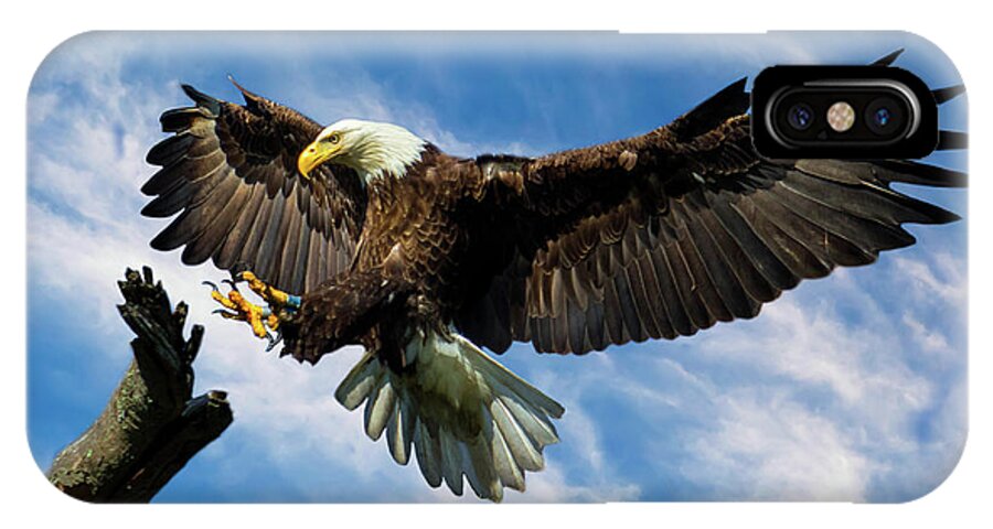 Eagle iPhone X Case featuring the photograph Wings Outstretched by Eleanor Abramson