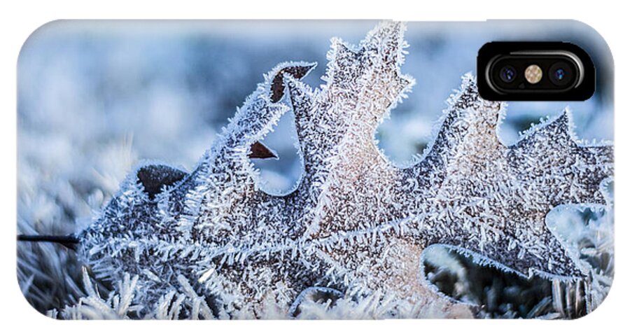 Ice iPhone X Case featuring the photograph Winter Frost by Parker Cunningham