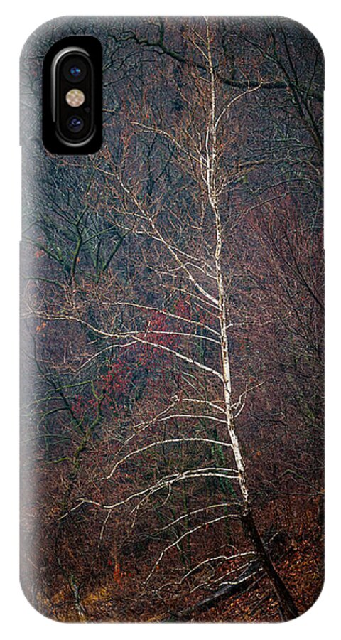 Landscape iPhone X Case featuring the photograph Winter Sycamore by Jeff Phillippi