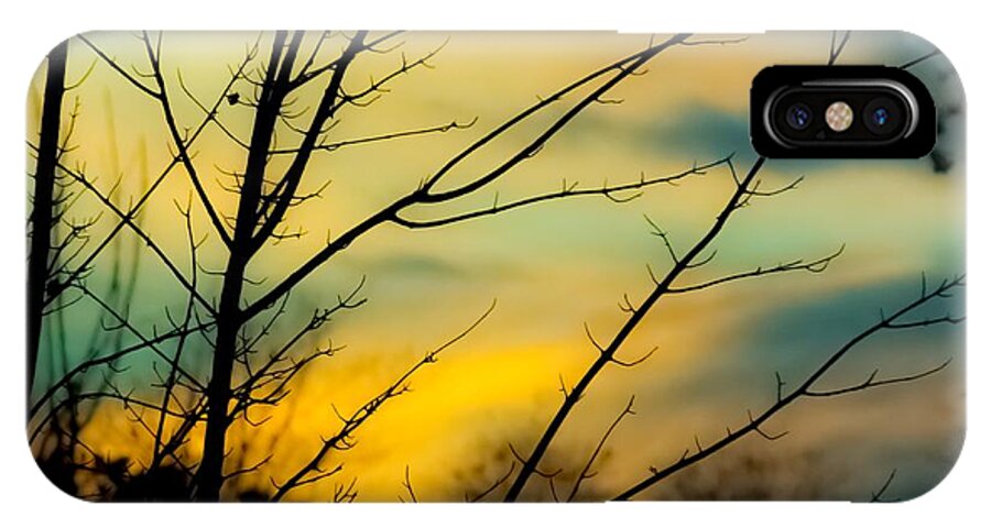 Sunset iPhone X Case featuring the photograph Winters Dusk by Melissa Bittinger