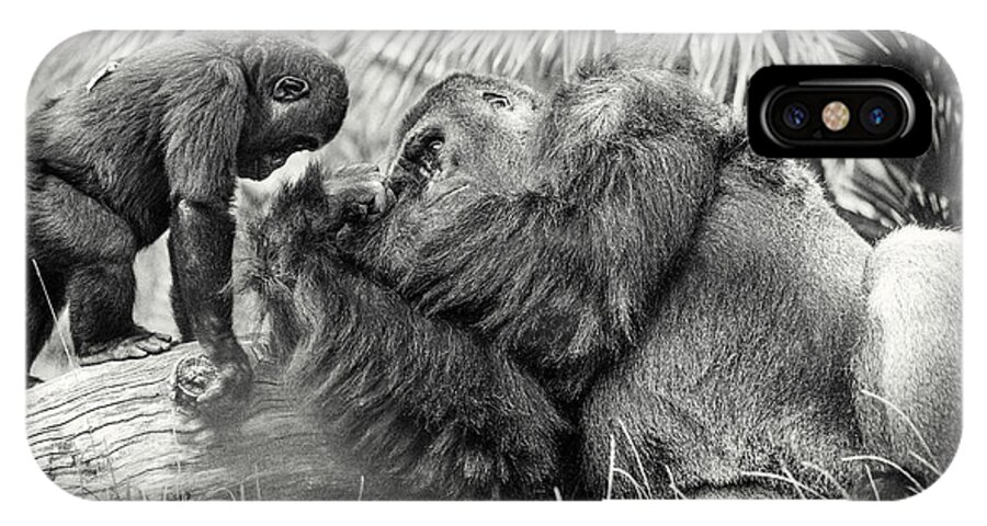 Gorilla iPhone X Case featuring the photograph Wisdom by William Blonigan
