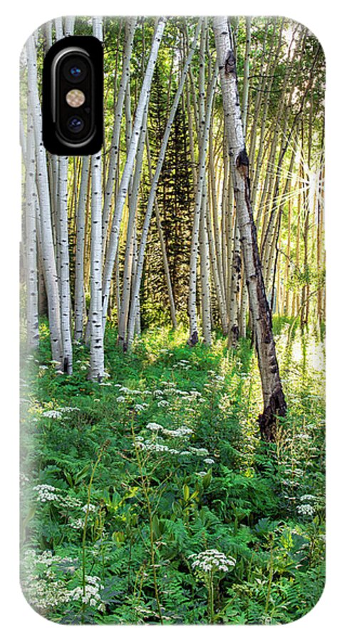 Woods iPhone X Case featuring the photograph Within The Forest Deep by Tim Reaves