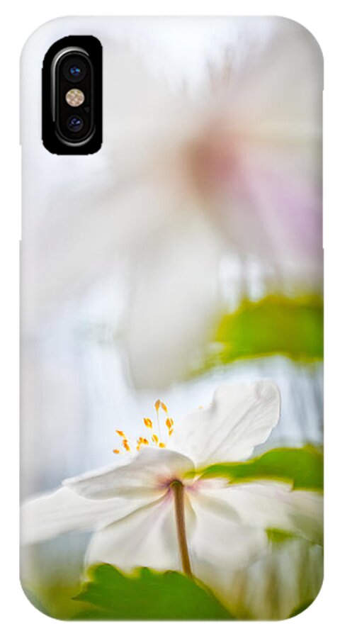 Abstract iPhone X Case featuring the photograph Wood anemone spring wild flower abstract by Dirk Ercken