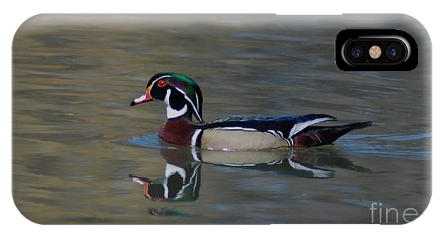 Duck iPhone X Case featuring the photograph Wood Duck - Male by Ronald Grogan