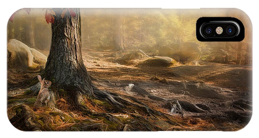 Woodland iPhone X Case featuring the photograph Woodland Mist by Robin-Lee Vieira